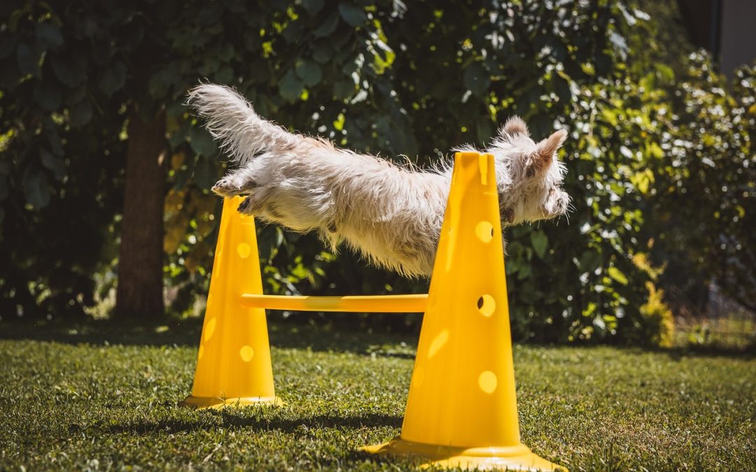 Supreme Court Lowers Bar for ERISA Lawsuits